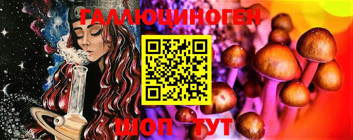 Джанкой  Псилоцибиновые грибы Psilocybine cubensis  Вход с VPN 