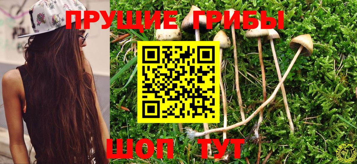 Псилоцибиновые грибы ЛСД Джанкой
